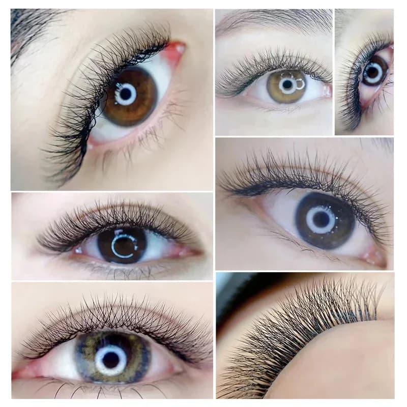 3D W-vorm Premade Volume Fan Wimperclusters