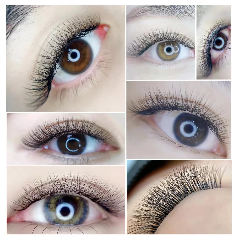 W-vormige 3D voorgevormde volume waaier wimperextensions