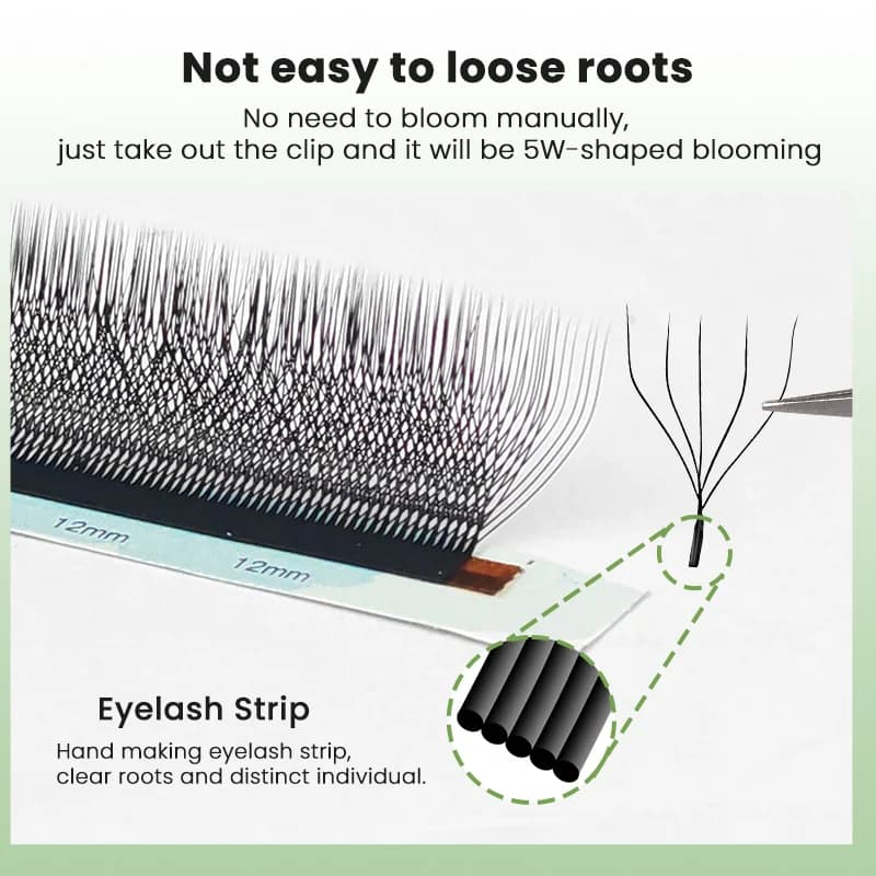 5D W-vorm Voorgevormde Volume Wimperextensions
